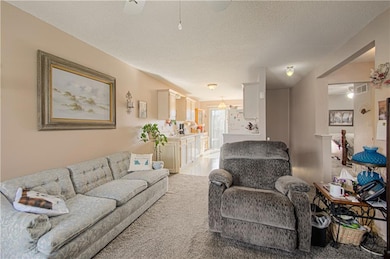 1863 Gates Ave, Platte City, MO 64079 - photo 6