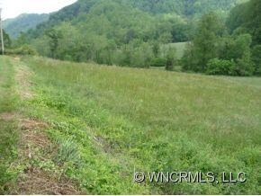 Middle Hayfield
