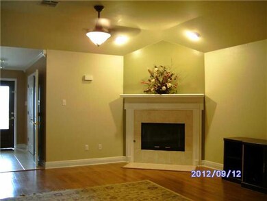 Other. Warm, cozy fireplace for thos cold winter n