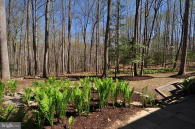 10634 Timberidge Rd, Fairfax Station, VA 22039 - photo 6