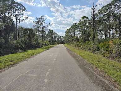 unlisted-address, Port Charlotte, FL 33953 - photo 3