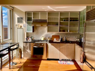 The Palm unit 10B, New York, NY 10007 - photo 2