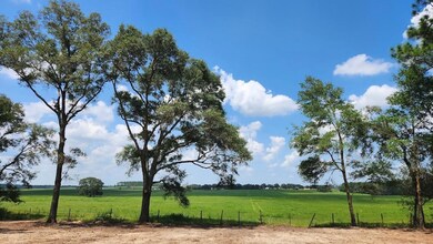 Lot 20 SW Ivy Place, Dunnellon, FL 34431 - photo 6