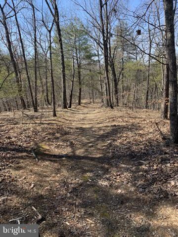 Lot 33 Sugar Maple Dr, Valley, WV 25420 - photo 3