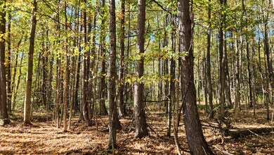 0 Wagner Rd unit 25650308, Dansville, NY 14437 - photo 4