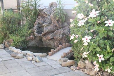 Beautiful koi pond