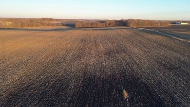 TBD 211th Ave, Le Center, MN 56058 - photo 6