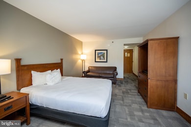 290 Marsh Hill Rd unit 319C, Mc Henry, MD 21541 - photo 3