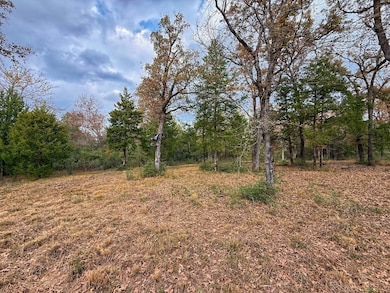 13 ac Highway 75 N, Buffalo, TX 75831 - photo 7