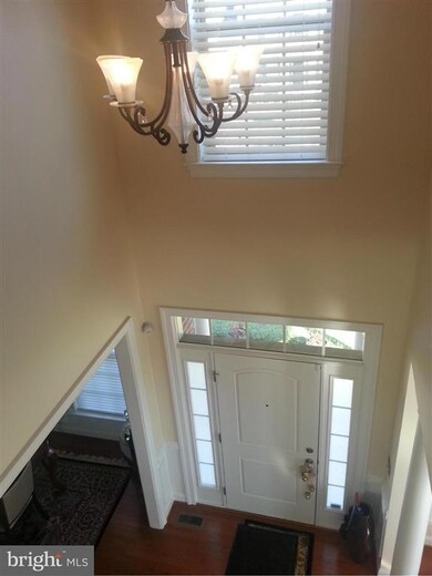 4714 Barnum Ln, Alexandria, VA 22312 - photo 4