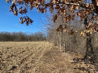 197 AC Alpine Rd, Brooklyn, WI 53521 - photo 7