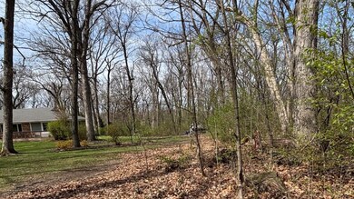 258 S Root Dr, Crete, IL 60417 - photo 5