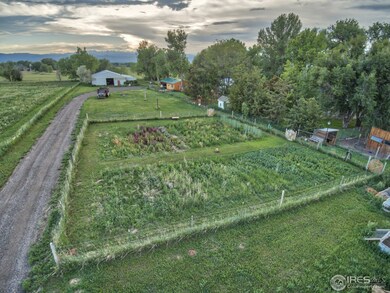 Lush Organic Gardens
