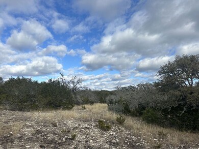 White Mountain Rd, Rocksprings, TX 78880 - photo 3