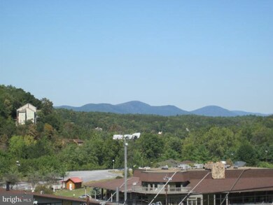 1836 Fairway Dr unit 221, Basye, VA 22810 - photo 5