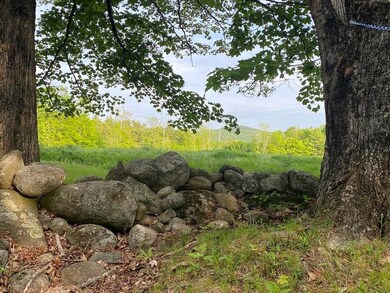 469 South Rd unit Map 5 Lot 42-1, Sullivan, NH 03445 - photo 6