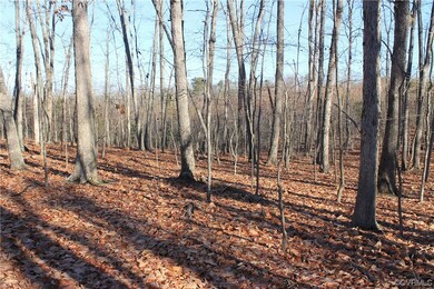 View of local wilderness