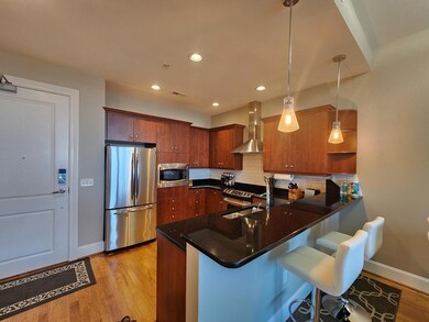 400 W North St unit 1508, Raleigh, NC 27603 - photo 6