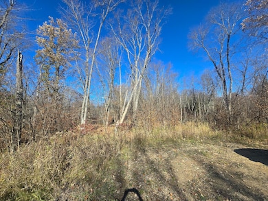 V/L E Cadillac Rd, Merritt, MI 49667 - photo 2