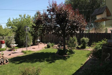 Back Yard V3