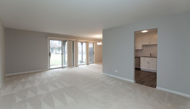 42 Plymouth Ct unit 6102B, Naperville, IL 60565 - photo 3