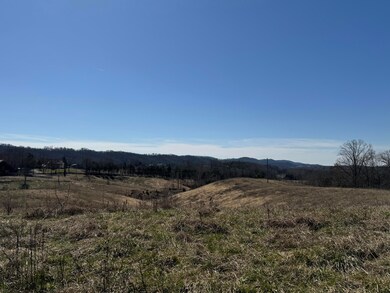 0 Whitehorn Rd unit 709692, Bulls Gap, TN 37711 - photo 3