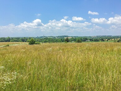 732 Muskego Rd, Nixa, MO 65714 - photo 3