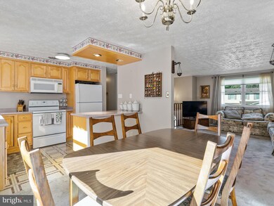 6811 Rock Creek Ct, Alexandria, VA 22306 - photo 6