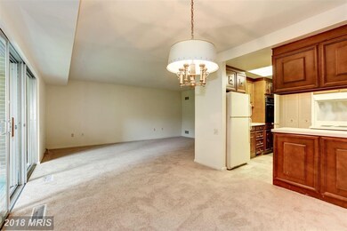3425 S Leisure World Blvd unit 1D, Silver Spring, MD 20906 - photo 7