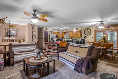 9756 Robyn Ct, Bonne Terre, MO 63628 - photo 3