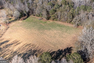 0 W Mcintosh Rd unit 10654779, Brooks, GA 30205 - photo 5