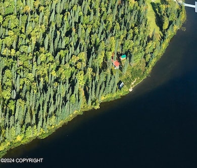 L28 No Rd, Trapper Creek, AK 99683 - photo 5