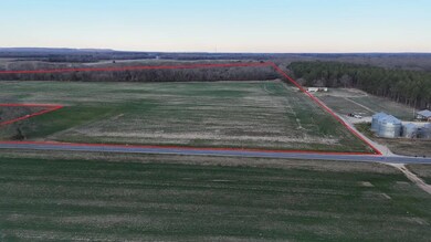 0 County Road 150, Courtland, AL 35618 - photo 7