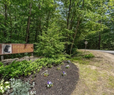 Welcome to Beaver Dam!