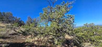 20202016t No Name Rd, Williams, AZ 86046 - photo 5