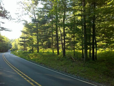 1253 Pennsylvania 590, Lackawaxen, PA 18435 - photo 7