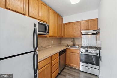 2101 17 Chestnut St unit 1208, Philadelphia, PA 19103 - photo 4
