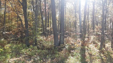 Lot 19 Block 13 285th Ave, Fawn Lake Township, MN 56438 - photo 2