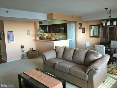 Skyline House unit 1416W, Baileys Crossroads, VA 22041 - photo 2