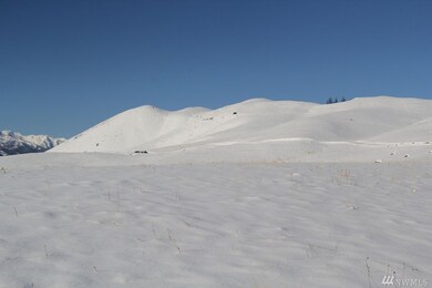 134 Cap Wright Rd, Twisp, WA 98856 - photo 4