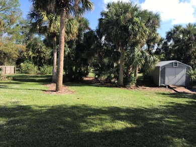 Backyard from side yard