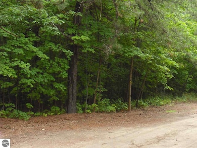 Parcel F3A Jackson Creek Rd, Kingsley, MI 49649 - photo 5