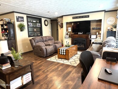 LIVING ROOM FROM ENTRANCE