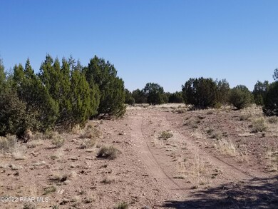Lot 264 Juniperwood Ranch, Ash Fork, AZ 86320 - photo 4