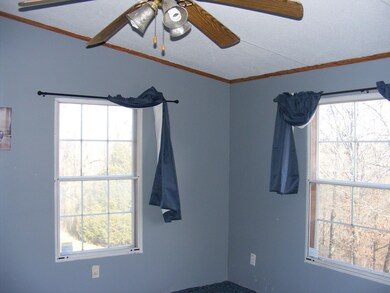 1815 State Highway T, Oldfield, MO 65720 - photo 4