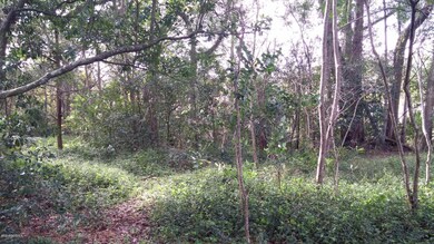 0 Shorewood Rd unit 858006, Jacksonville, FL 32210 - photo 4