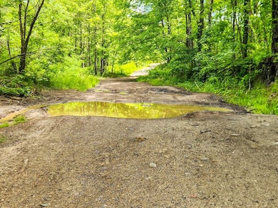 0 Buffalo Rd unit 23634322, Oneida, TN 37841 - photo 2