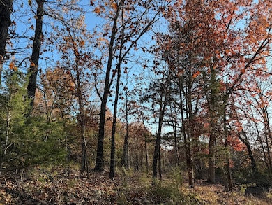 0 County Road 871, Thornfield Township, MO 65762 - photo 7