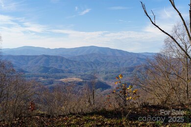 1098 Hyacinth Dr, Clyde, NC 28721 - photo 3