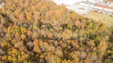 0South of County Road 468, Poplar Bluff, MO 63901 - photo 5